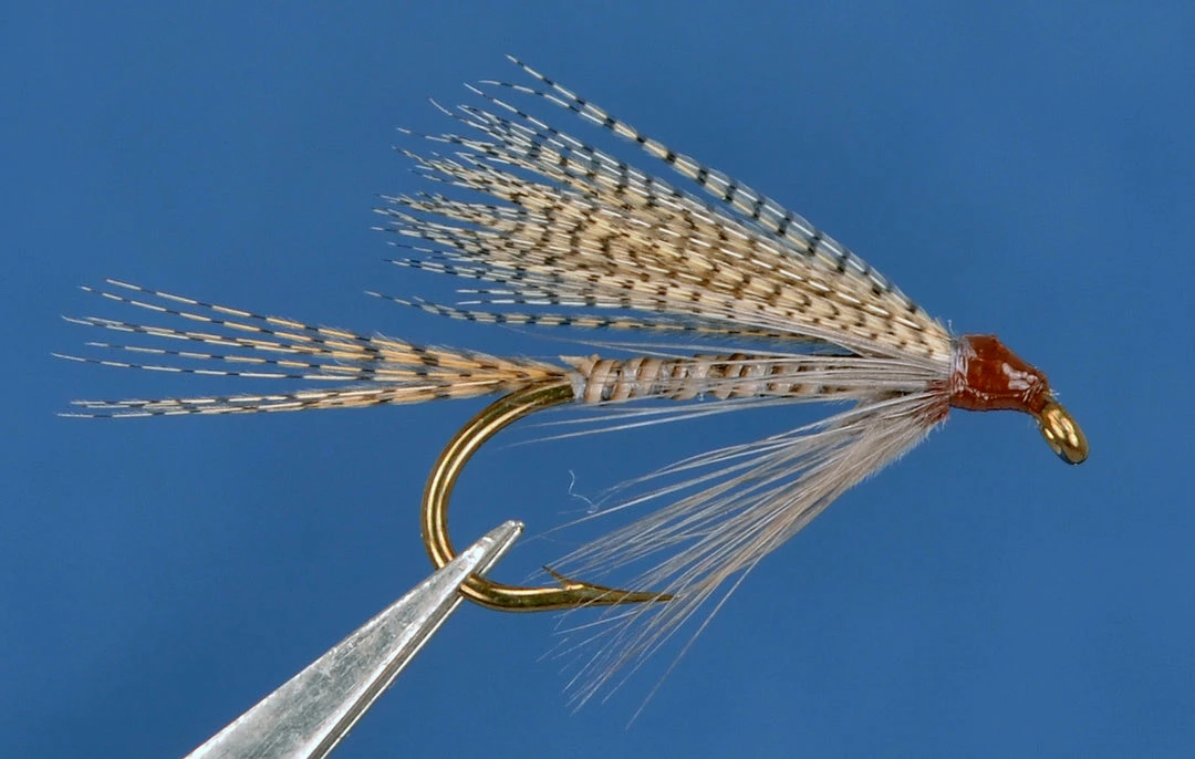 Dette Flies Quill Gordon Wet Winged Wets 1 Dette Flies Quill Gordon Wet Winged Wets