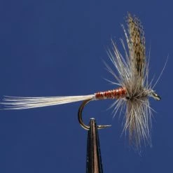 Dette Flies Red Quill Traditional Traditional Dries