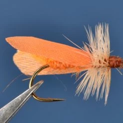 Dette Trout Flies Caddis Dries SN's October Caddis