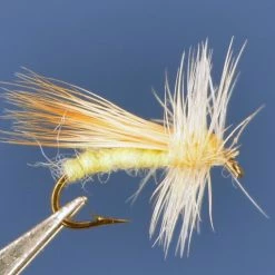 Dette Trout Flies Caddis Dries Solomon Caddis A