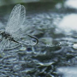 25% Off - Reel Wings - Spinner Wings Winging