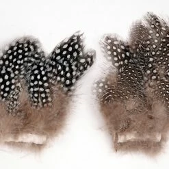 25% Off - Superfly Strung Guinea Fowl