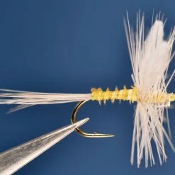 Dette Flies Dorothea Traditional, Biot Body