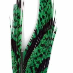 Amherst Pheasant 25% Off - Superfly Lady Amherst Center Tail Section