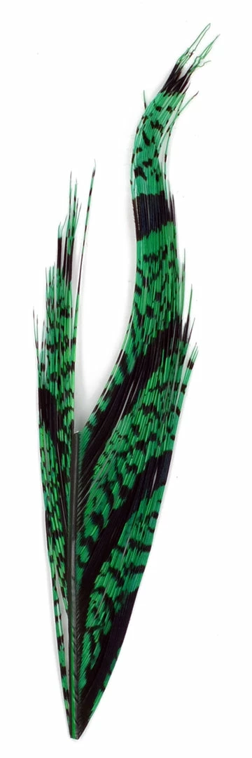 Amherst Pheasant 25% Off - Superfly Lady Amherst Center Tail Section 1 Amherst Pheasant 25% Off - Superfly Lady Amherst Center Tail Section