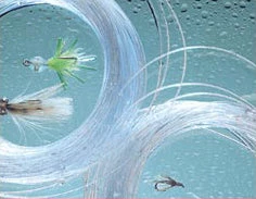 Intermediate Lines Royal Wulff Triangle Taper Saltwater Mono Clear Fly Line