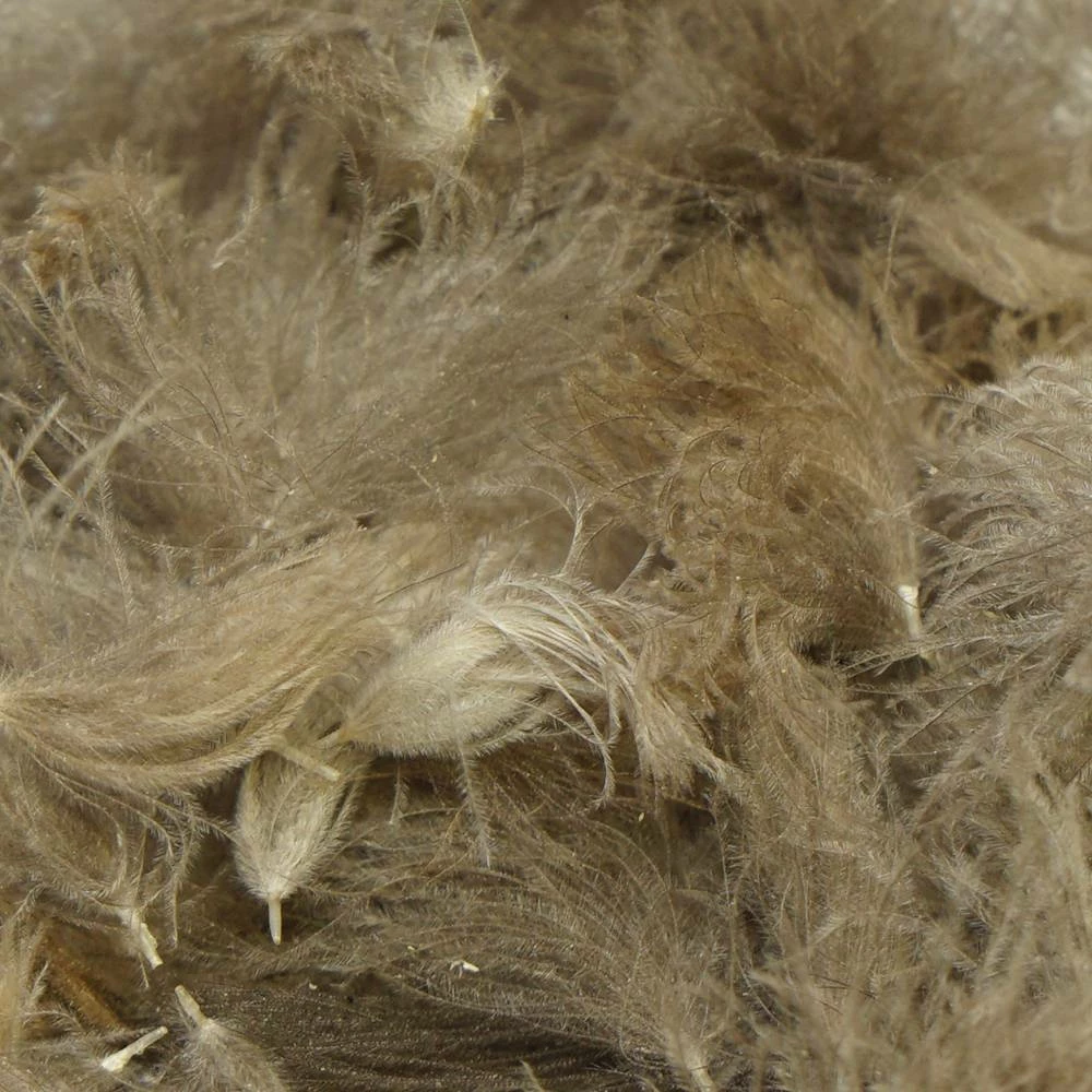 Trout Hunter Cul De Canard (CDC) TroutHunter CDC Puffs 1 Trout Hunter Cul De Canard (CDC) TroutHunter CDC Puffs