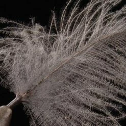 Trout Hunter CDC Cul De Canard