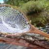 Sunny Brook Nets - Winooski