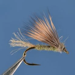 Dette Trout Flies X Caddis - Olive Gray