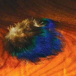 Hareline Blue Peacock Feather