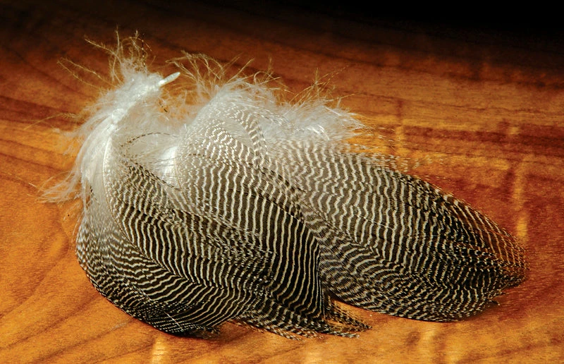 Hareline Gadwall Feathers 1 Hareline Gadwall Feathers