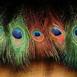 Hareline Peacock Eyed Sticks