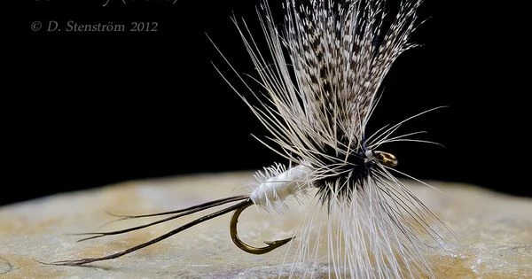 Dette Flies Official Shop -Dette Flies Official Shop 3d85d98b78cff21c119e0fa3662bfed3