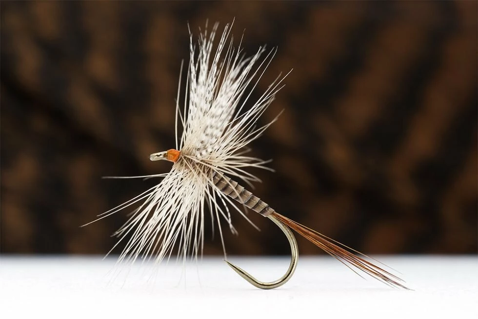 Dette Flies Official Shop -Dette Flies Official Shop Quill Gordon Troutline tactical dry fly blog 980x654 1
